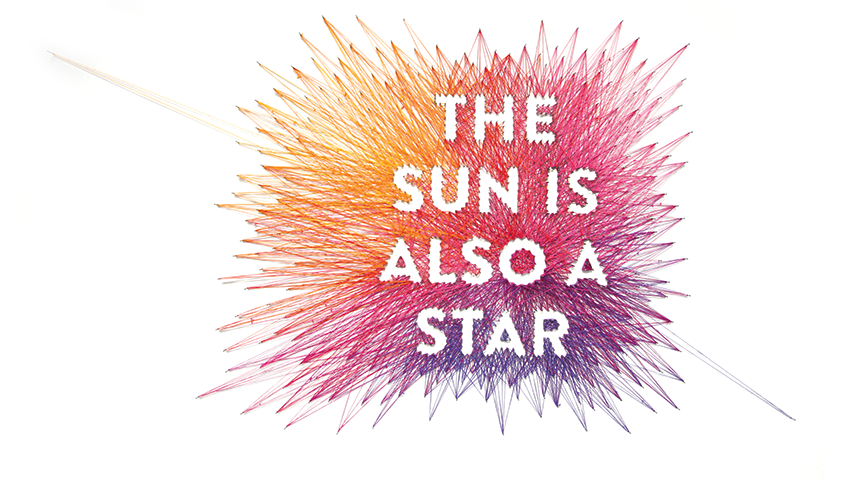 books like the sun is also a star